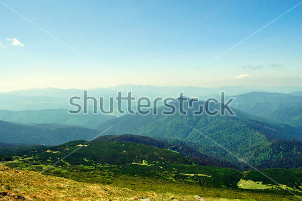  артикул 10030410