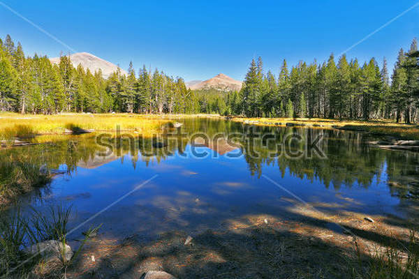  артикул 10031250