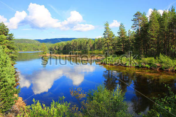  артикул 10031249