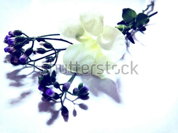  артикул 10032158