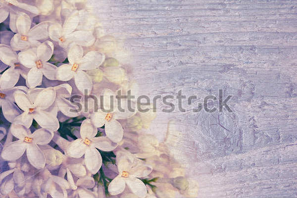  артикул 10032647