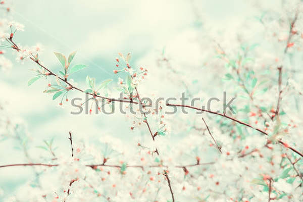  артикул 10032726