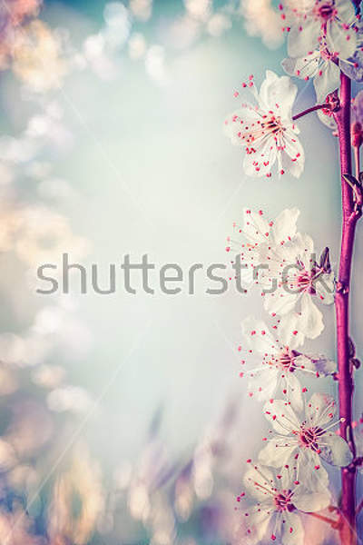  артикул 10032679