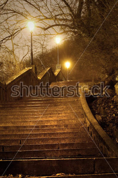  артикул 10033392