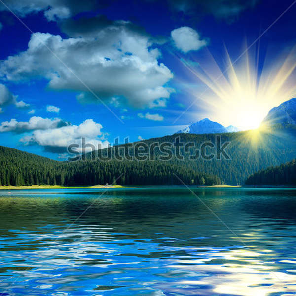  артикул 10033383