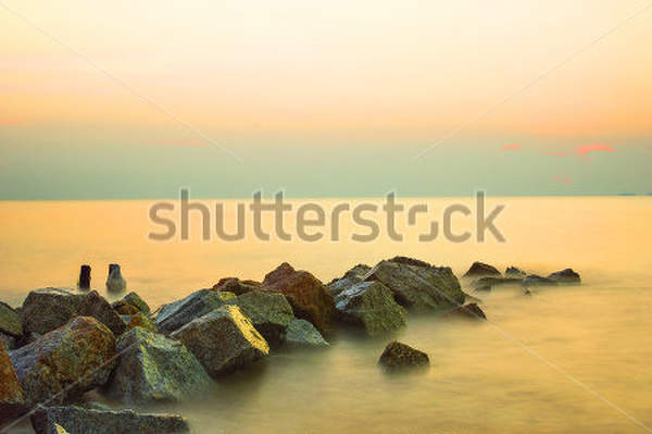 артикул 10034037