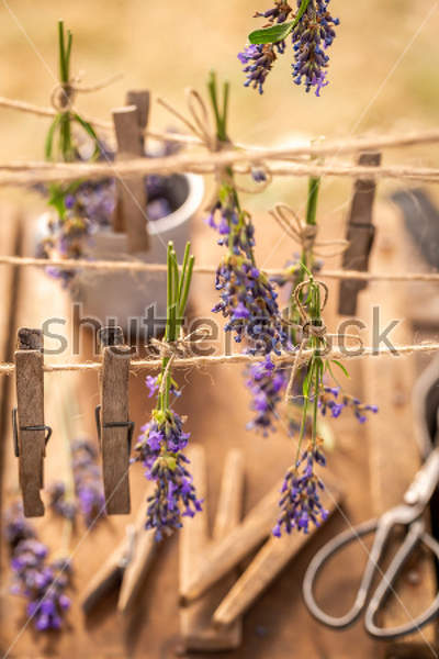  артикул 10034168