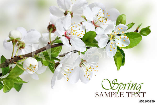  артикул 10034507