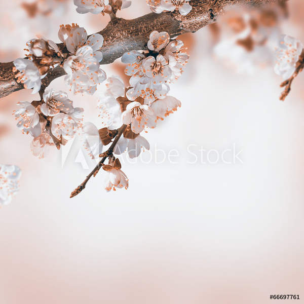  артикул 10034659