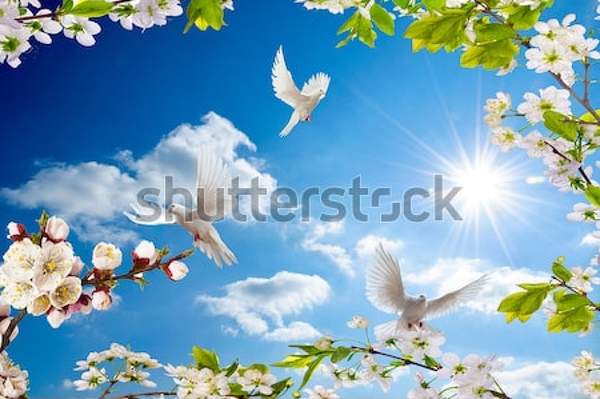  артикул 10034836