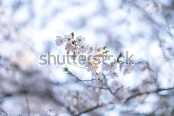  артикул 10035380
