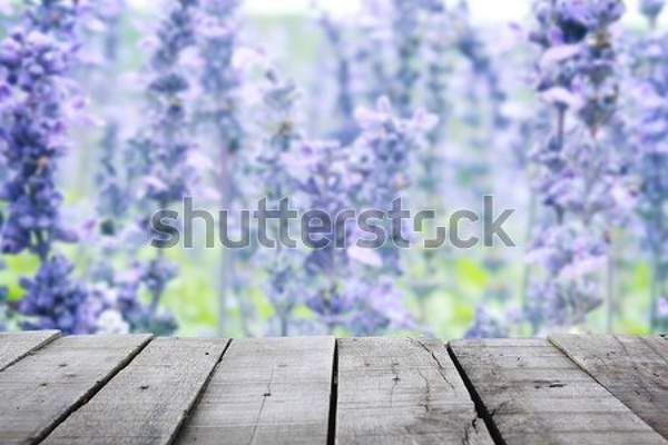 артикул 10035355
