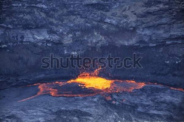  артикул 10037719