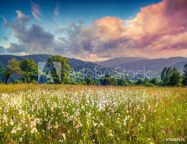  артикул 10038945