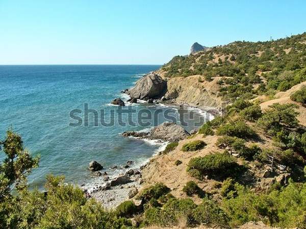  артикул 10039493