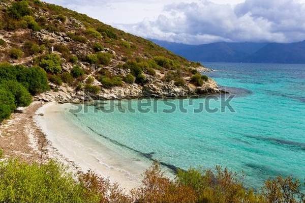  артикул 10039589