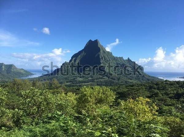  артикул 10039810