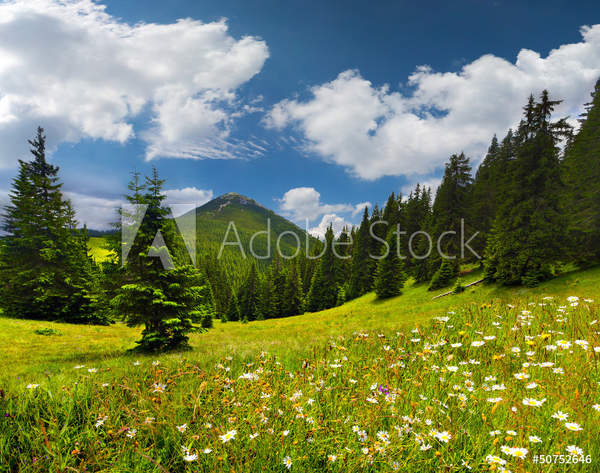  артикул 10040100