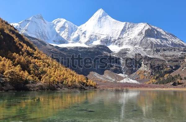  артикул 10040156