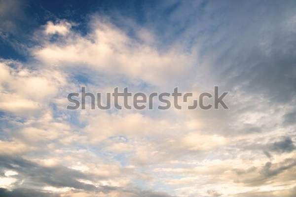  артикул 10042114