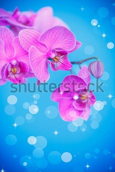  артикул 10043005