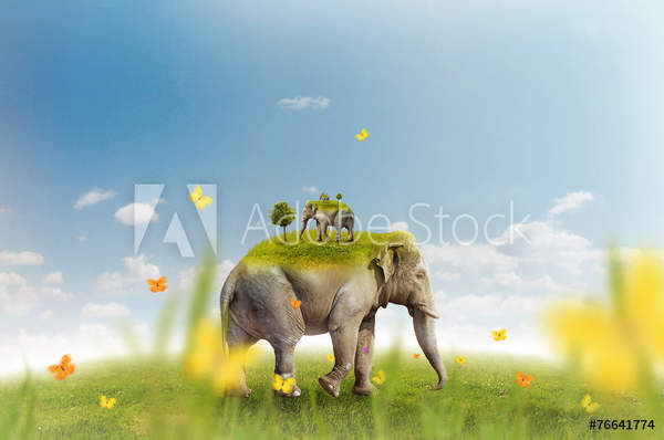  артикул 10043579
