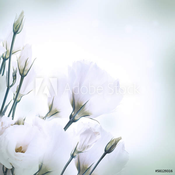  артикул 10043762