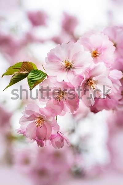  артикул 10044827