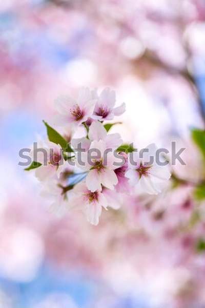  артикул 10044823