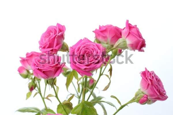  артикул 10044936