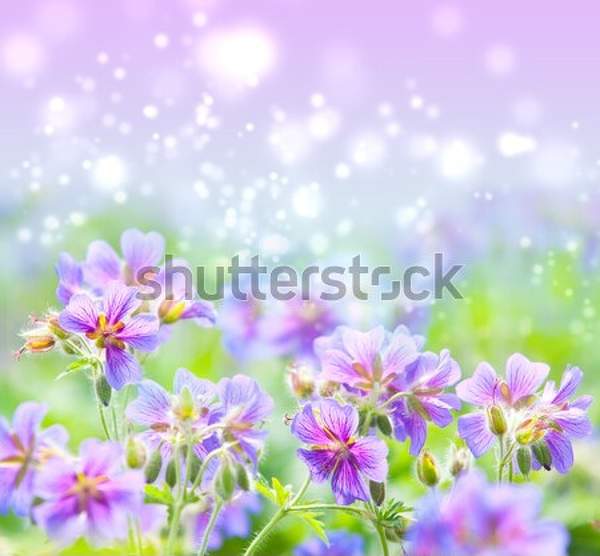  артикул 10045428