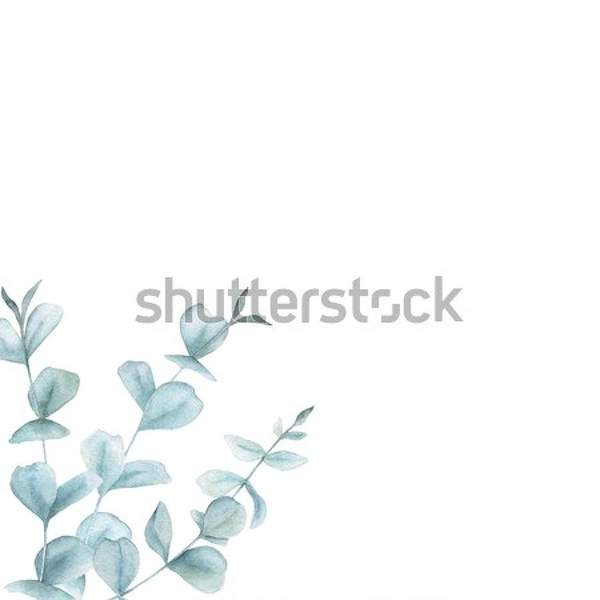  артикул 10046447