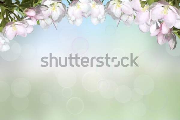  артикул 10046588