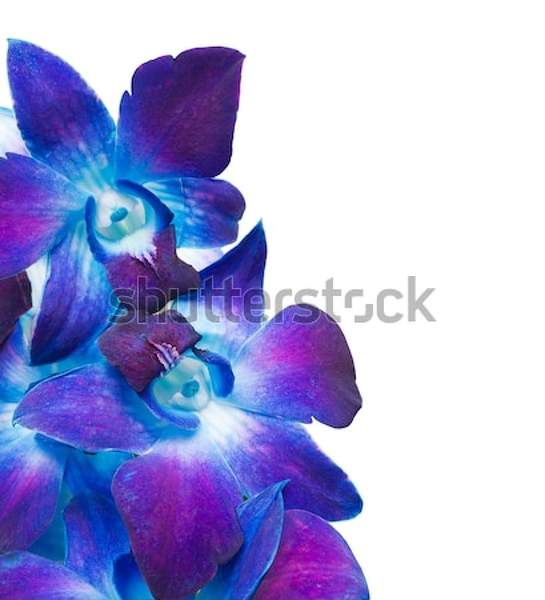  артикул 10046512