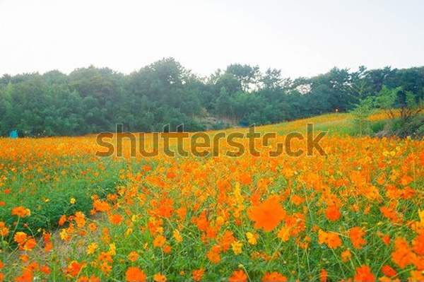  артикул 10046714