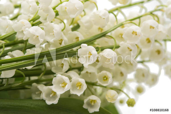  артикул 10047346