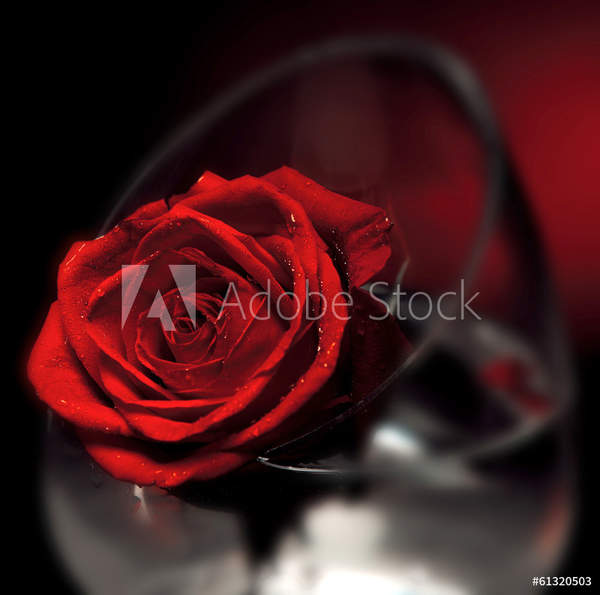  артикул 10047517