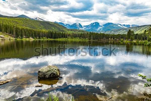  артикул 10048202