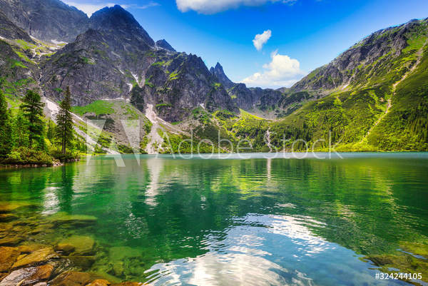  артикул 10048626