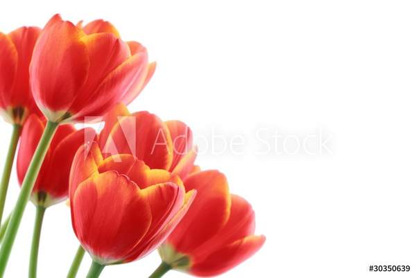  артикул 10049606
