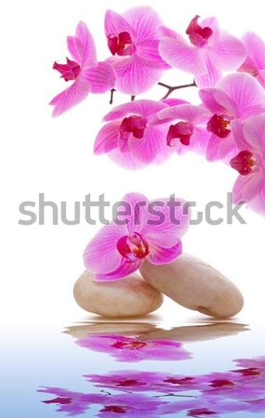  артикул 10050371