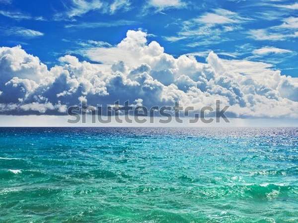  артикул 10050811