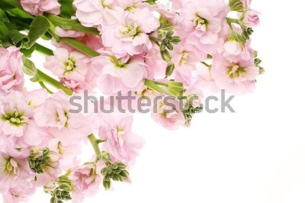  артикул 10052538