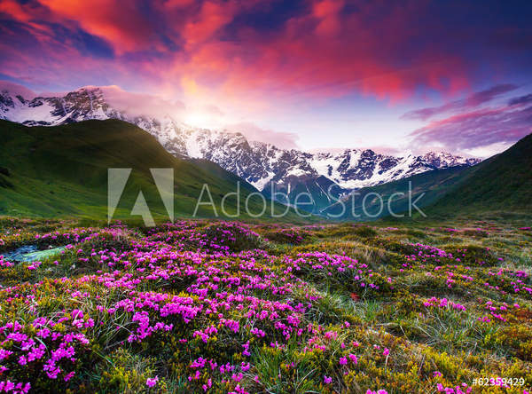  артикул 10053972