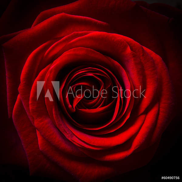  артикул 10054677