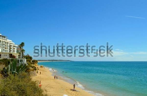  артикул 10054798