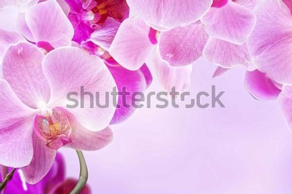  артикул 10056120