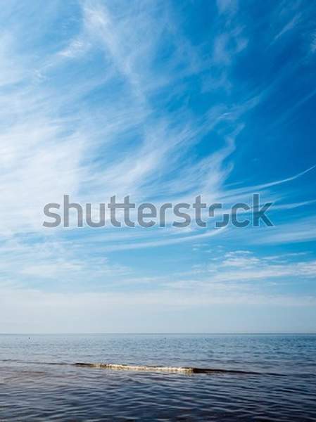  артикул 10056393