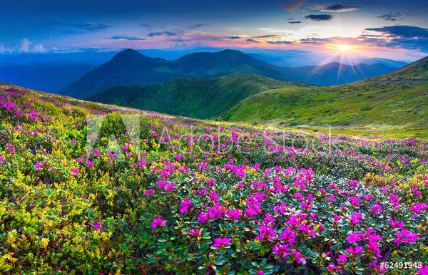  артикул 10056594