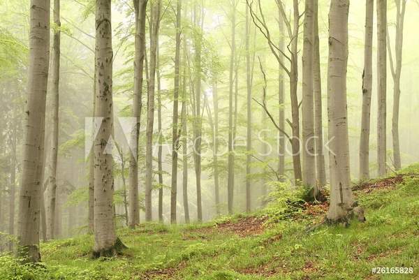  артикул 10056954